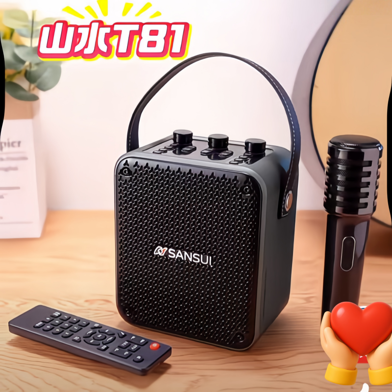 Musical Instrument Video - SANSUI T81 Portable Wireless Bluetooth Speaker