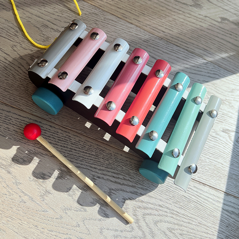Montessori Educational Toy Set - đánh giá và giá Musical Instrument Project