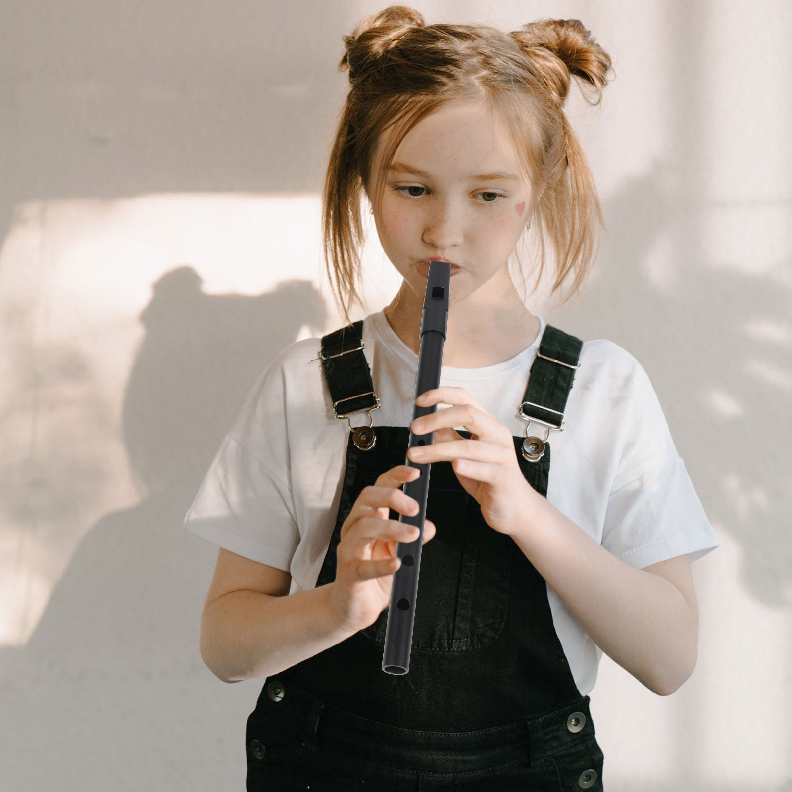 Ireland Clarinet Resin Recorde - đánh giá và giá Musical Instrument A Recorder