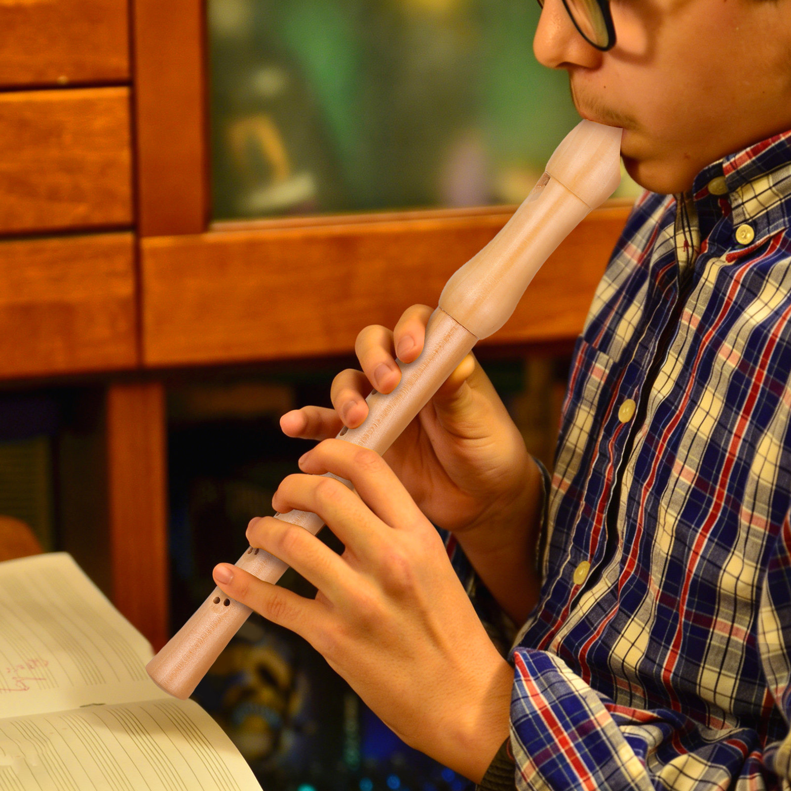 Soprano Recorder Wooden Eight  - đánh giá và giá Musical Instrument A Recorder