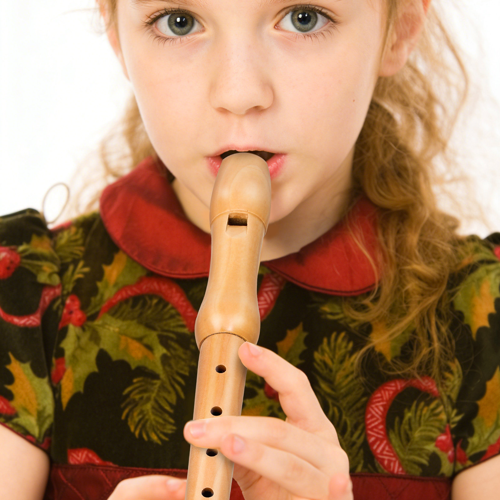 Soprano Recorder Wooden Eight  - đánh giá và giá Musical Instrument A Recorder