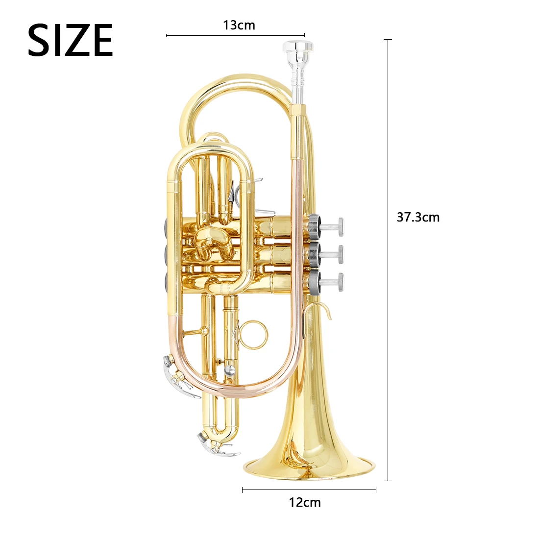 SLADE Professional Bb Cornet B - đánh giá và giá Musical Instrument Cornet