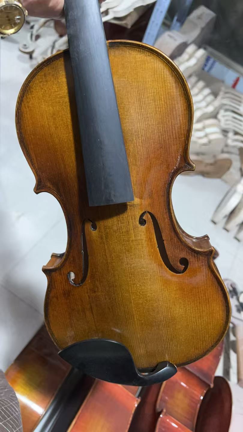 Musical Instruments 4/4 Carvin - đánh giá và giá Musical Instrument Online