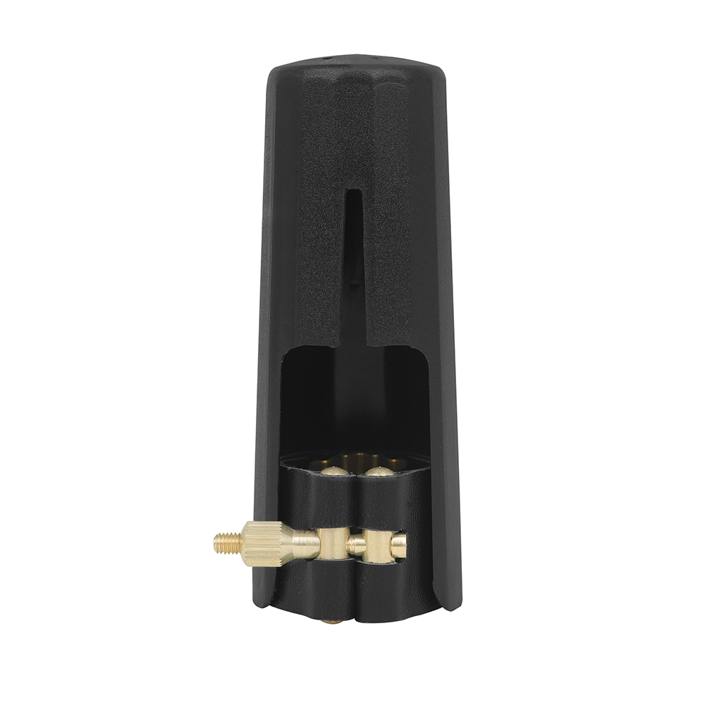 Professional Saxophone Clarine - đánh giá và giá Musical Instrument Oboe
