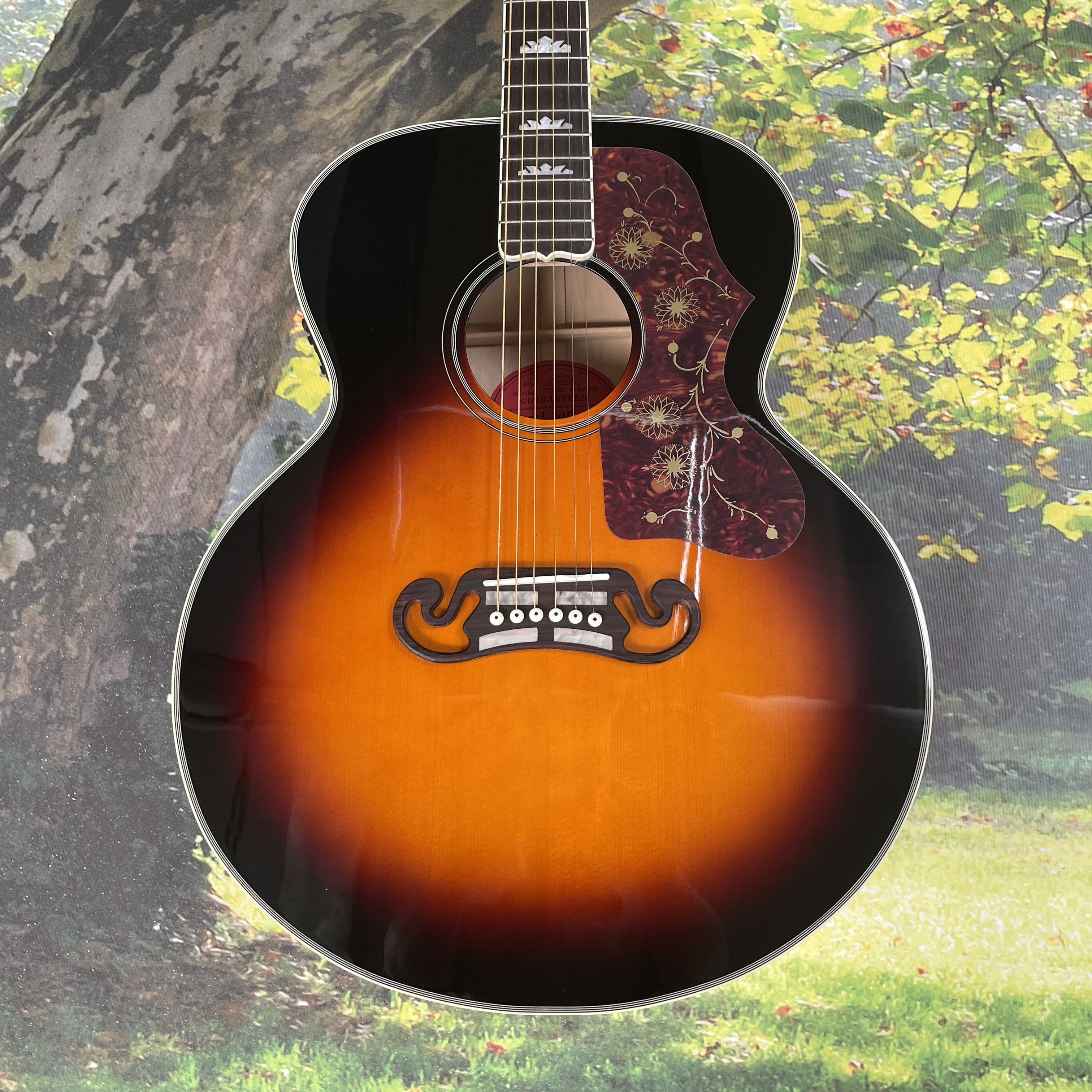 Acoustic electric guitar - 43- - đánh giá và giá Dobro Resonator Guitar
