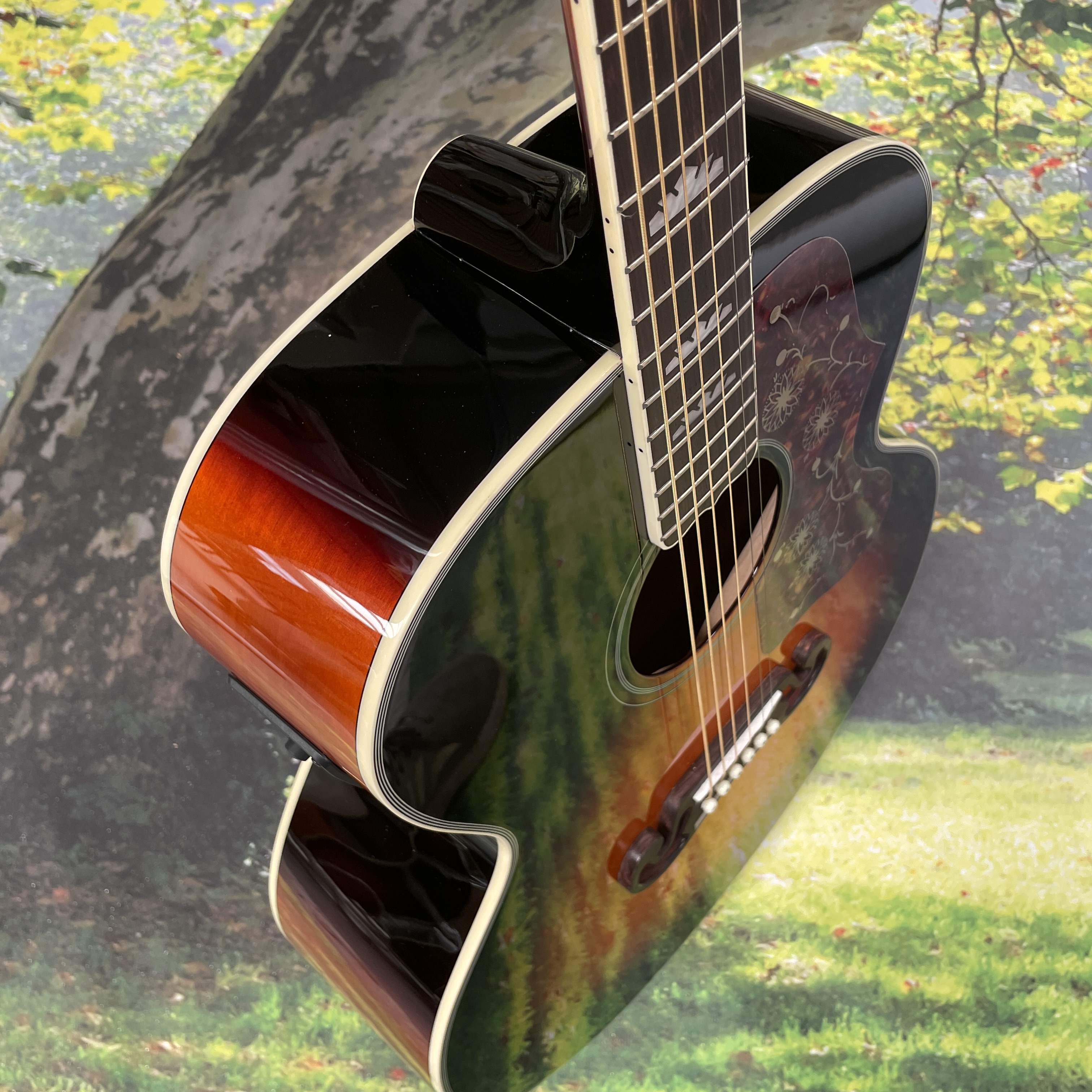 Acoustic electric guitar - 43- - đánh giá và giá Dobro Resonator Guitar