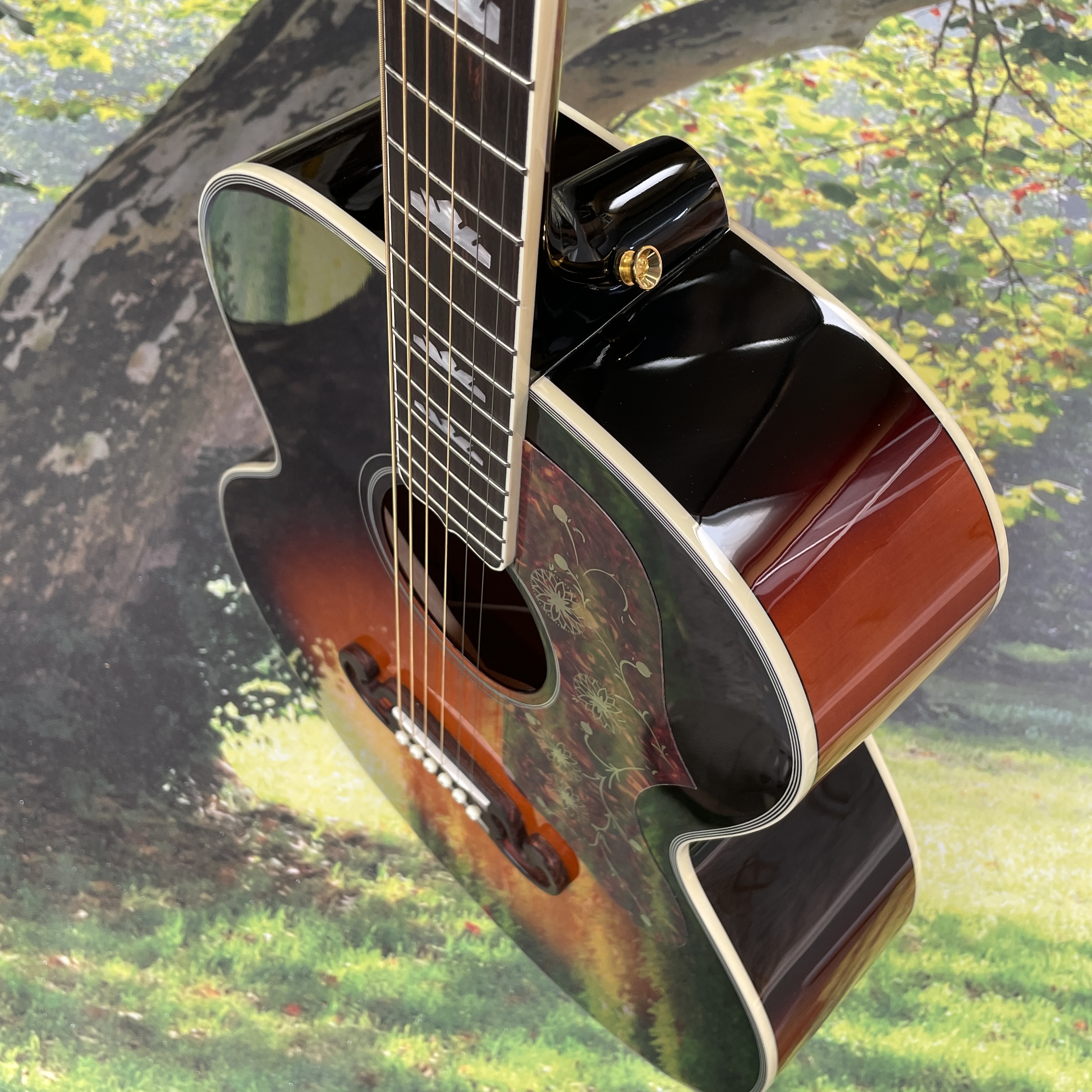 Acoustic electric guitar - 43- - đánh giá và giá Dobro Resonator Guitar