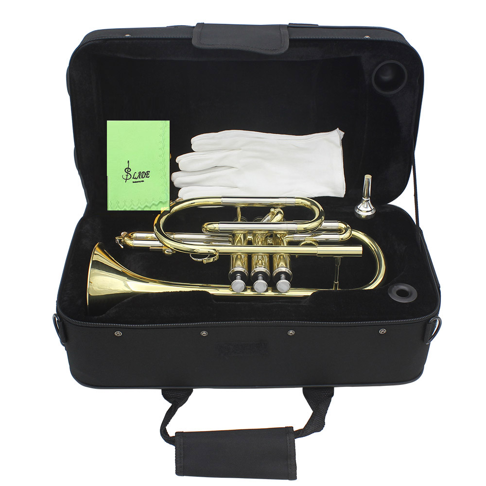 Professional Bb B Flat Cornet  - đánh giá và giá Musical Instrument Cornet