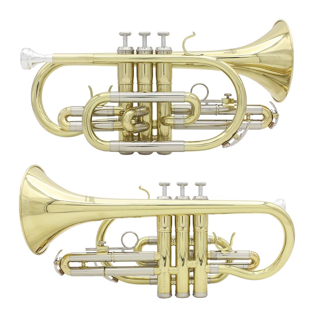 Professional Bb B Flat Cornet  - đánh giá và giá Musical Instrument Cornet