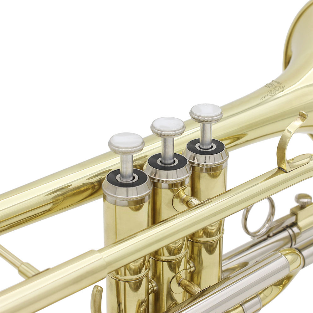 SLADE Bb B-flat Cornet Brass B - đánh giá và giá Musical Instrument Cornet